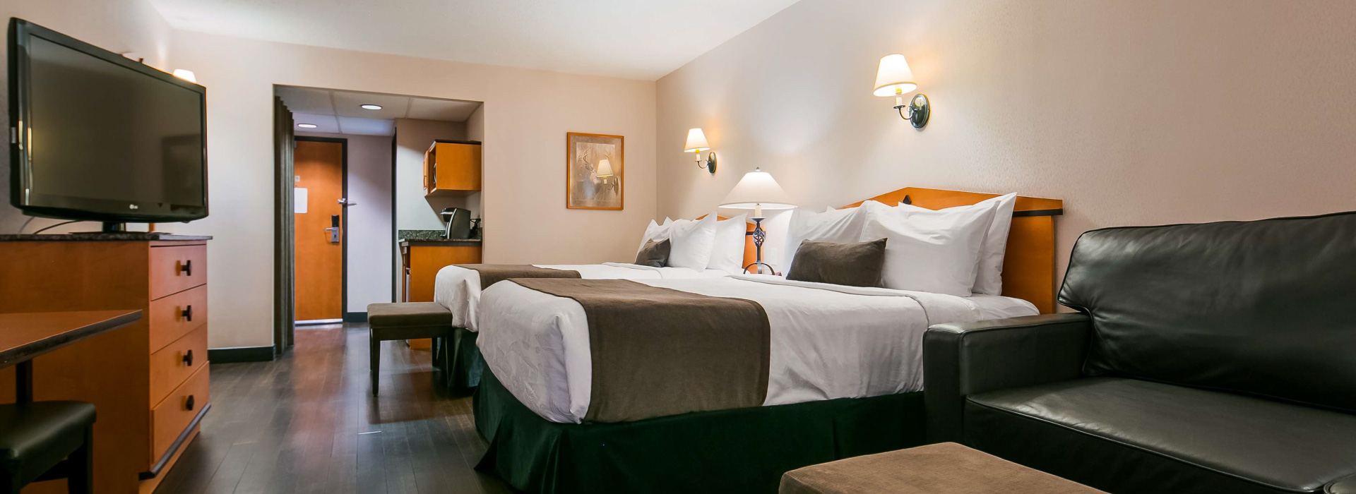 Standard Room with hid-a-bed Standard Room with hid-a-bed