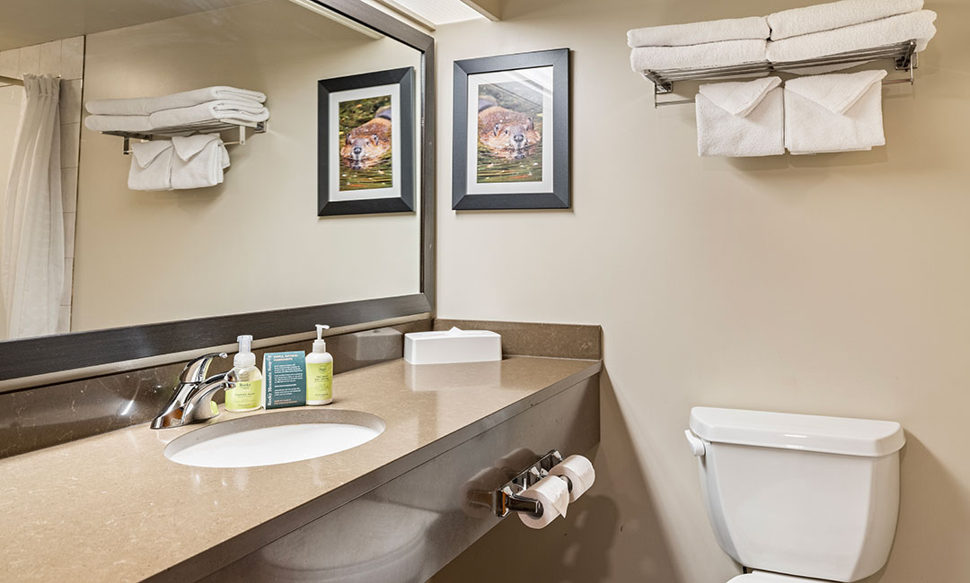 Standard Room Two Queens - Bathroom