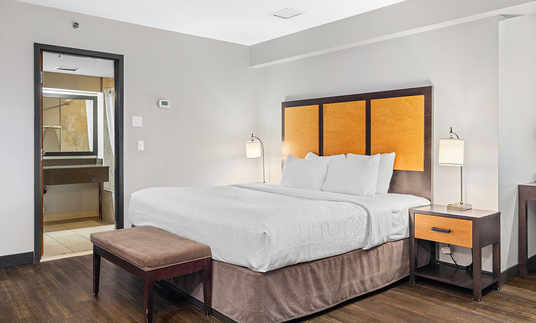 Superior King Suite - Full Room