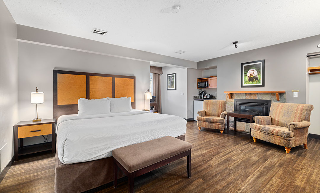 Superior King Suite - Full Room