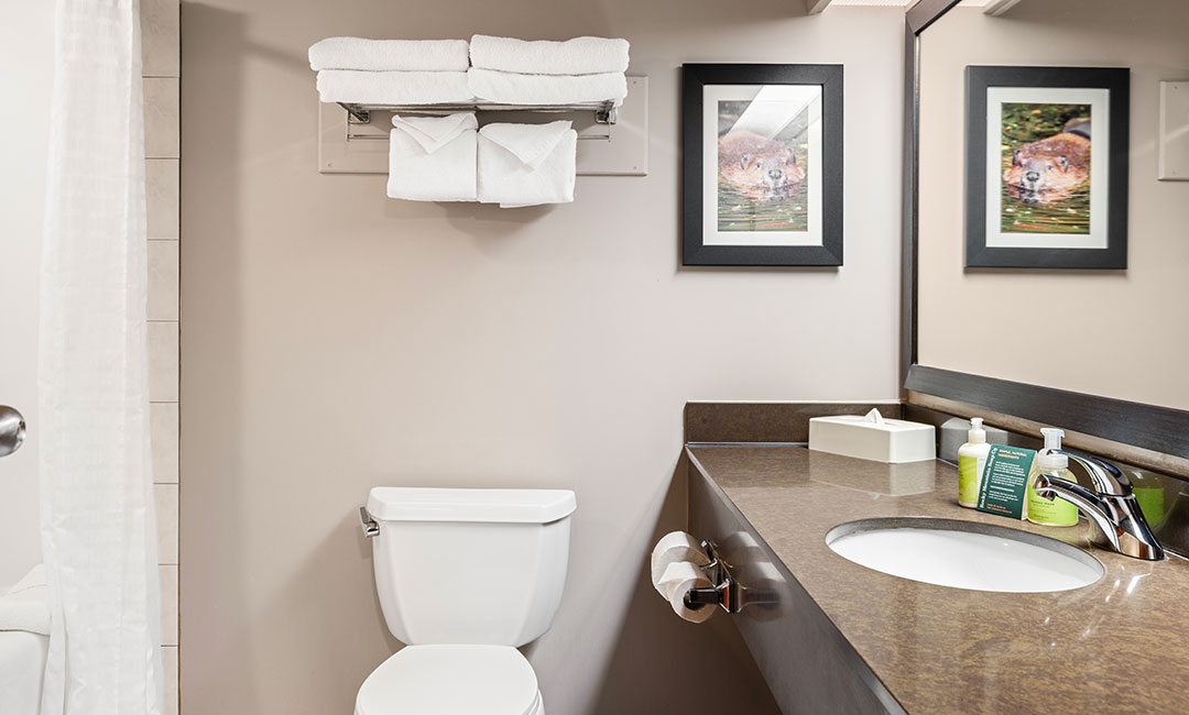 Superior Hotel Room Sofa Bed - bathroom