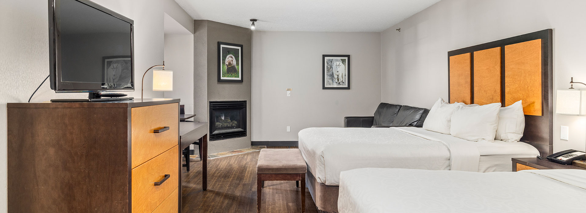 Hotel room with two queen beds and a sofabed